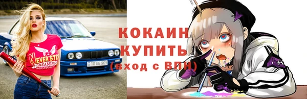 мдпв Вязьма