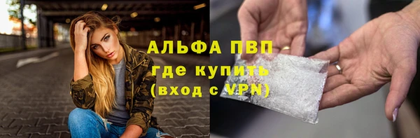 винт Вяземский