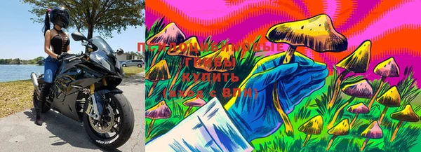ешки Вязники