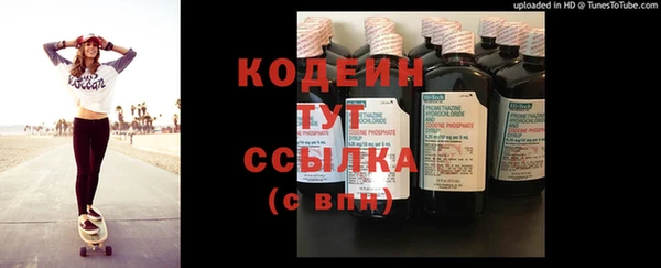 винт Вяземский