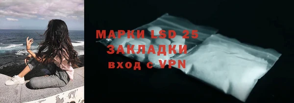 винт Вяземский