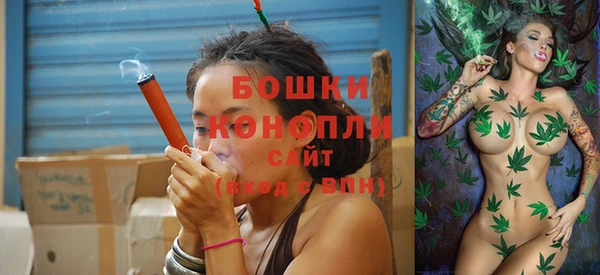 мдпв Вязьма
