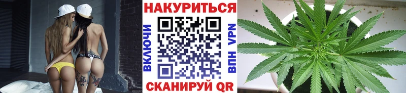Каннабис сатива  Перевоз 